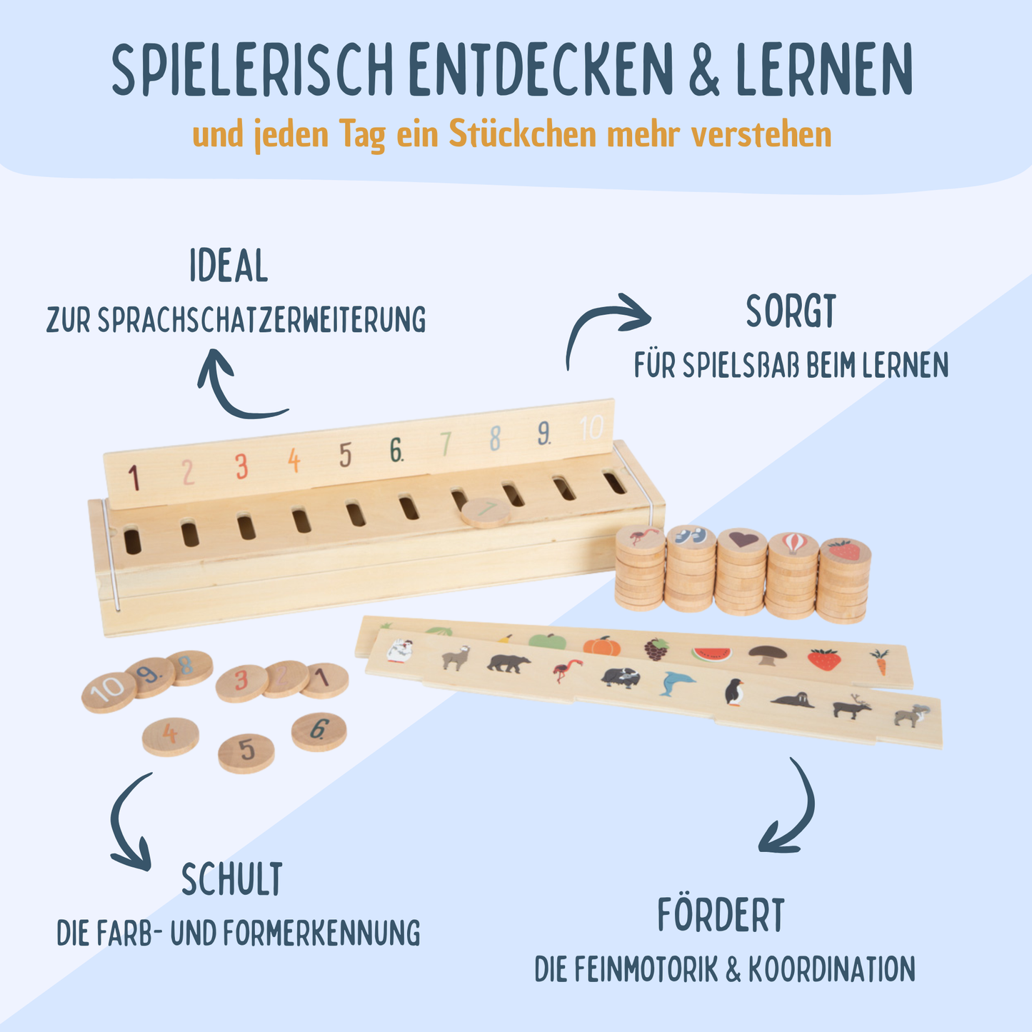 Montessori Sortierspiel